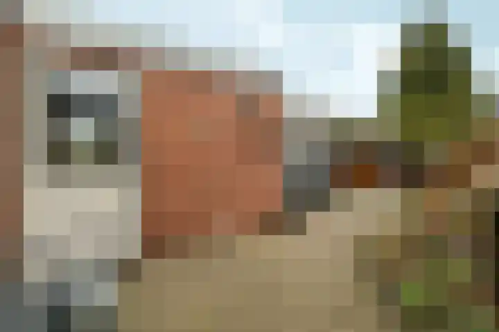 Korenbloemstraat 36 Gennep thumbnail 24