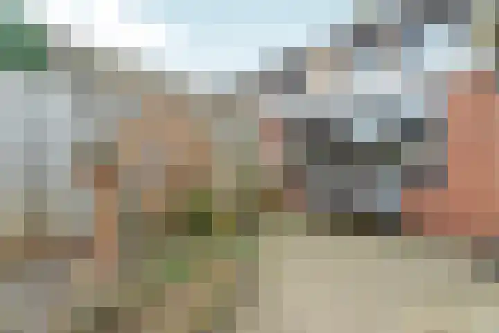 Korenbloemstraat 36 Gennep thumbnail 29