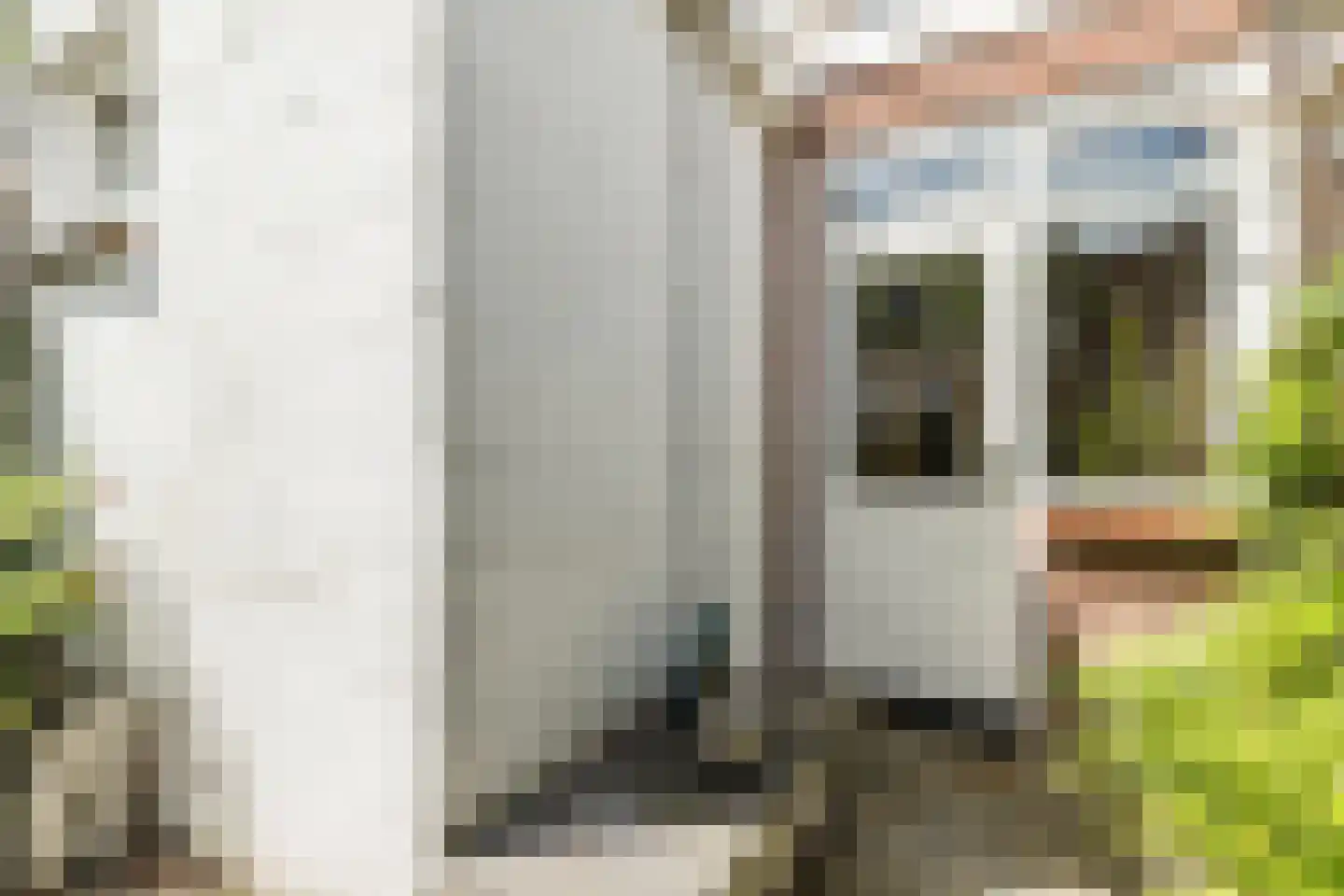 Korenbloemstraat 36 Utrecht thumbnail 18