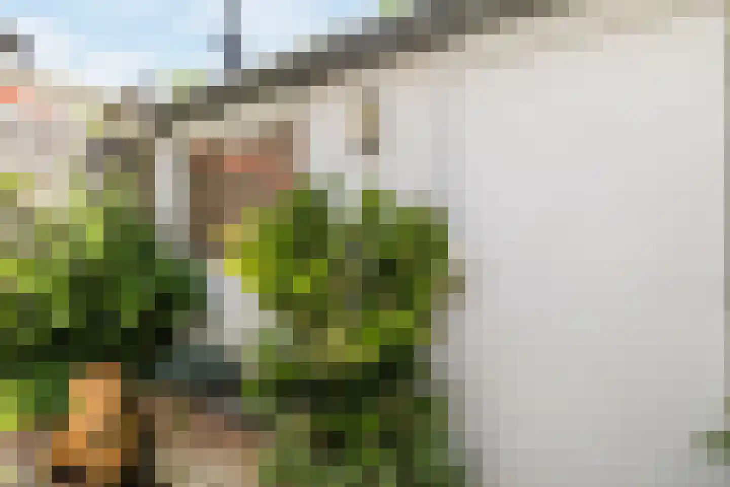 Korenbloemstraat 36 Utrecht thumbnail 22