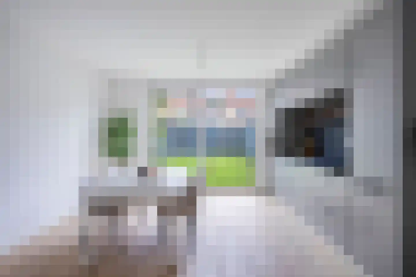 Korenbloemstraat 38 Eindhoven thumbnail 12