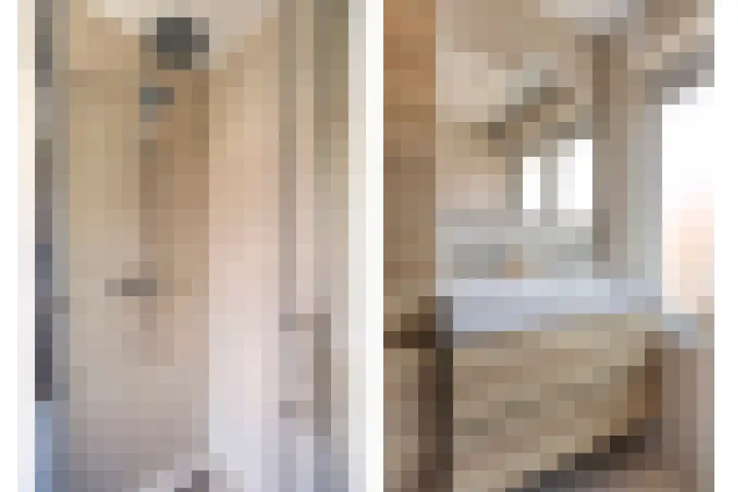 Korenbloemstraat 38 Eindhoven thumbnail 13