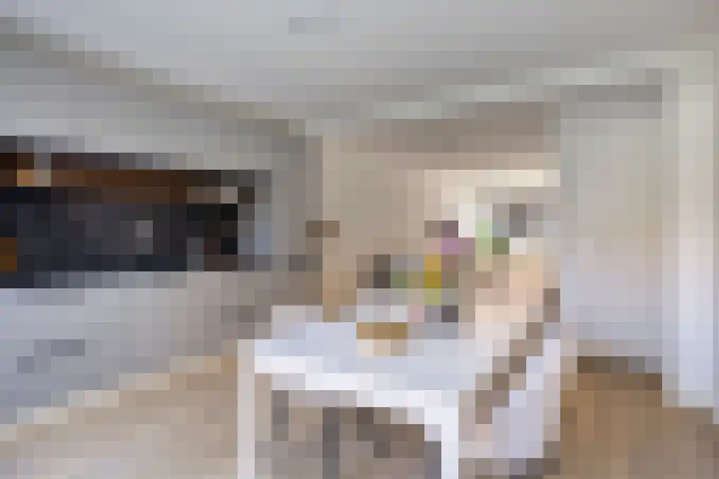 Korenbloemstraat 38 Eindhoven thumbnail 16