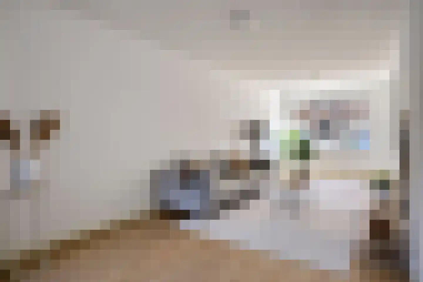 Korenbloemstraat 38 Eindhoven thumbnail 18