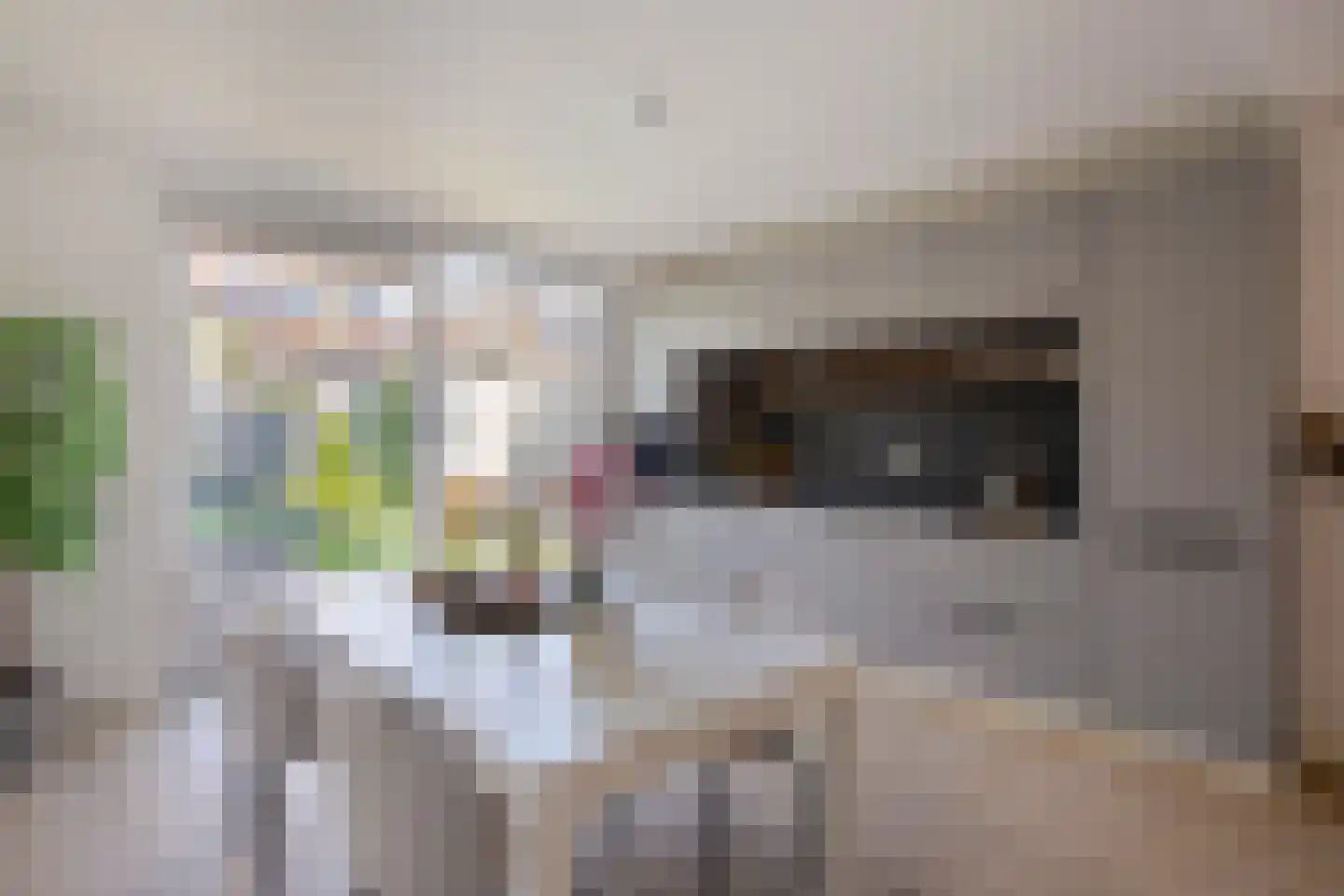 Korenbloemstraat 38 Eindhoven thumbnail 20