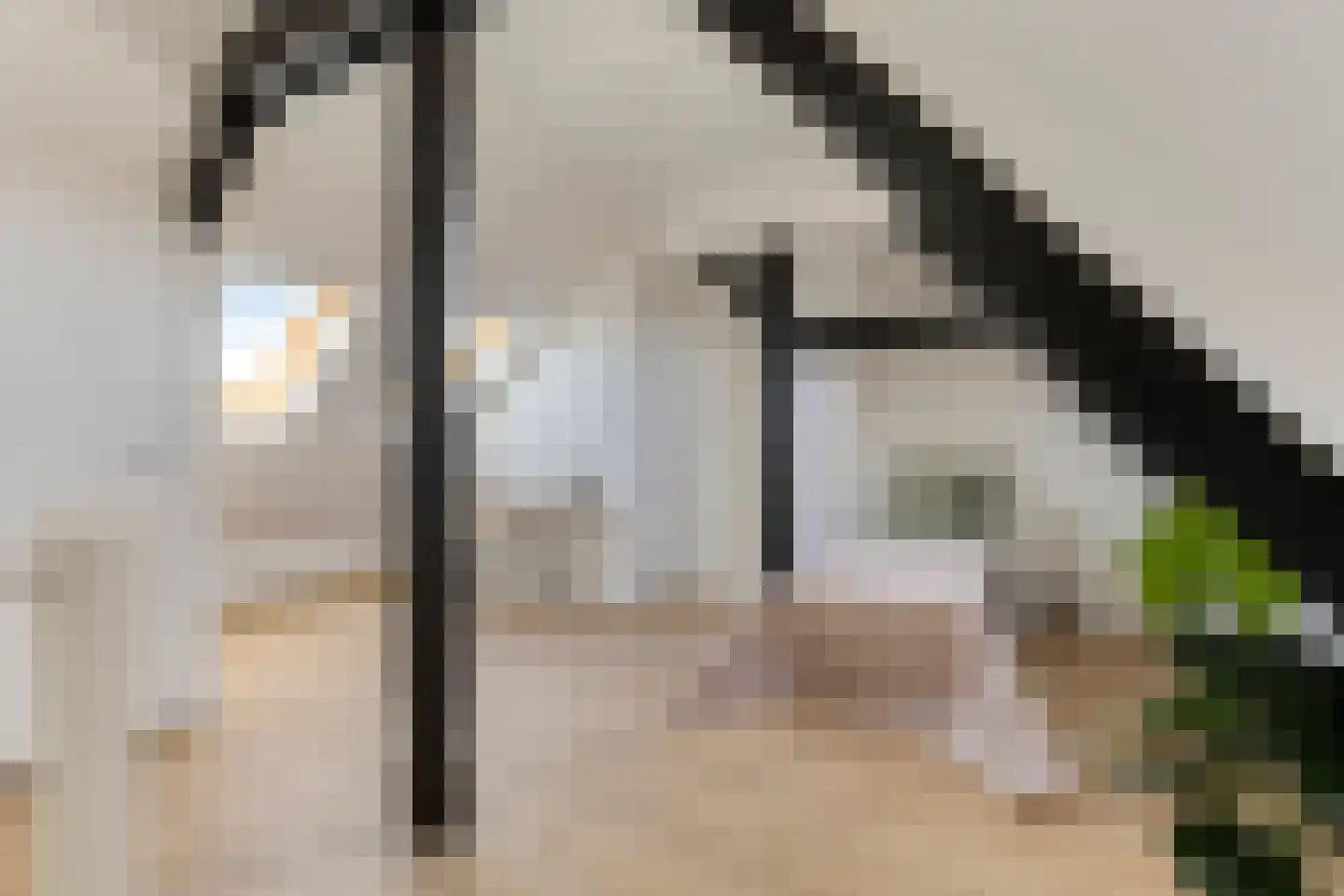 Korenbloemstraat 38 Eindhoven thumbnail 36