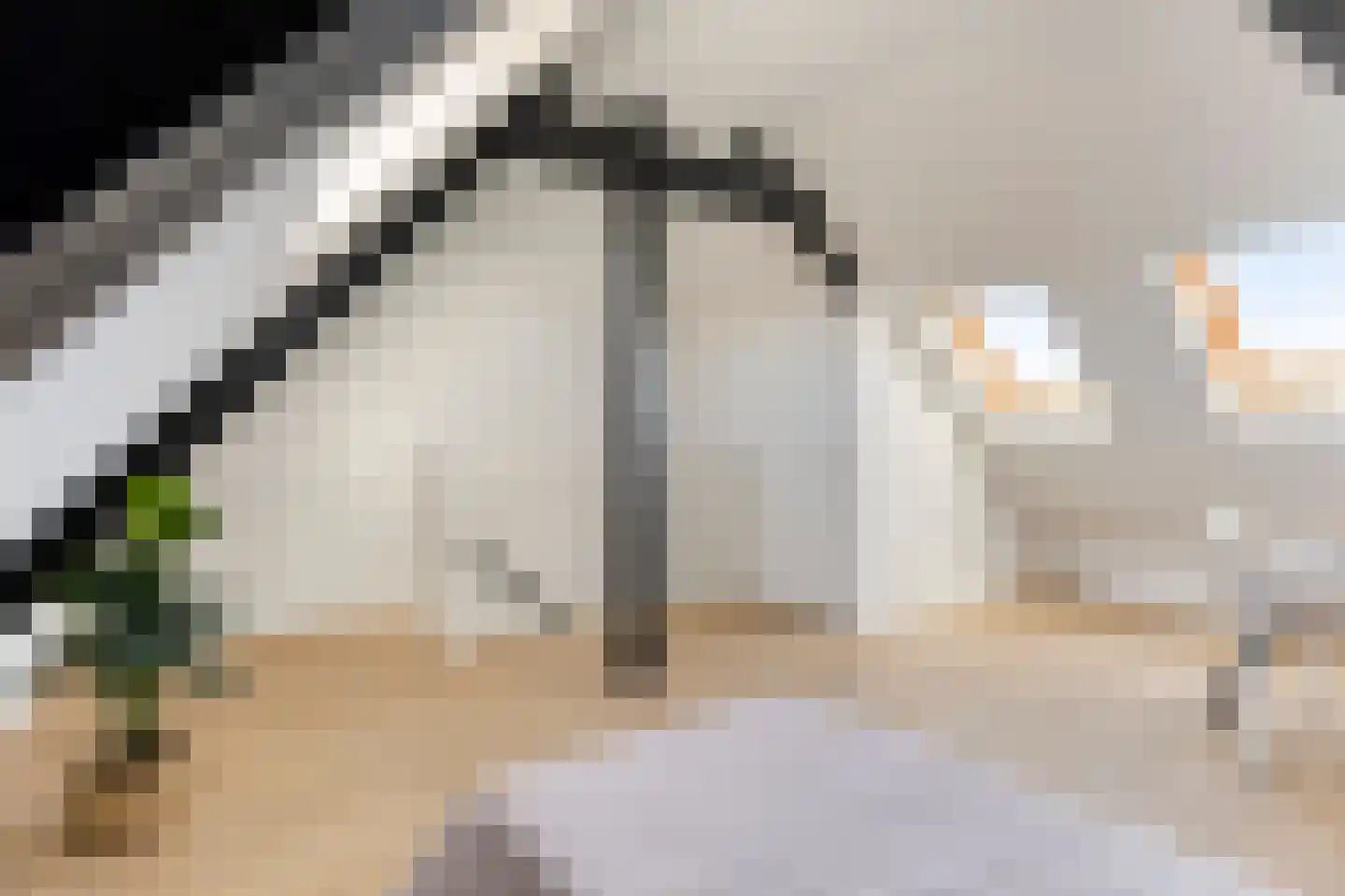 Korenbloemstraat 38 Eindhoven thumbnail 37