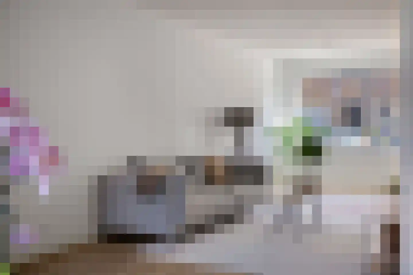 Korenbloemstraat 38 Eindhoven thumbnail 4