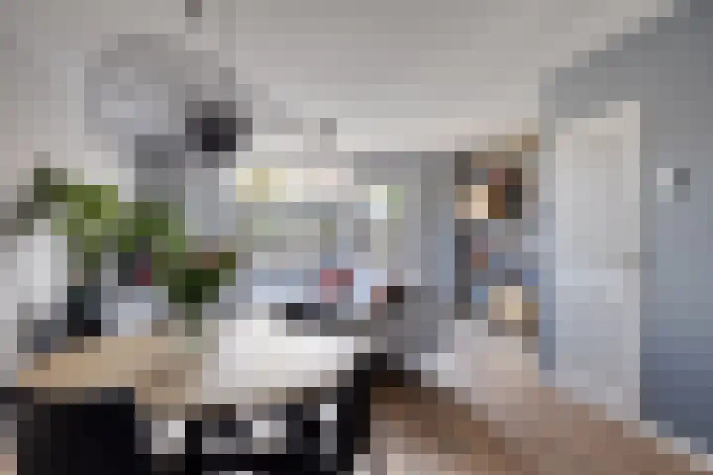 Korenbloemstraat 38 Maasbree thumbnail 12