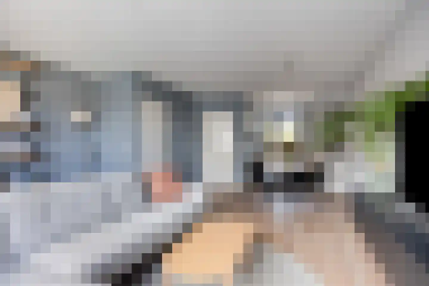 Korenbloemstraat 38 Maasbree thumbnail 13