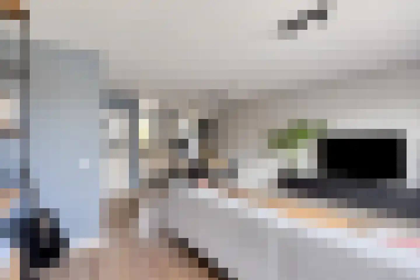 Korenbloemstraat 38 Maasbree thumbnail 14