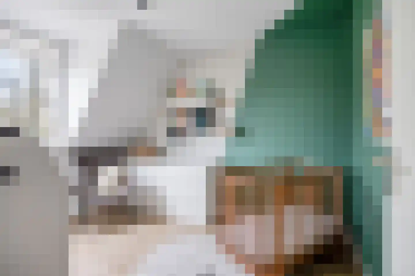 Korenbloemstraat 38 Maasbree thumbnail 25