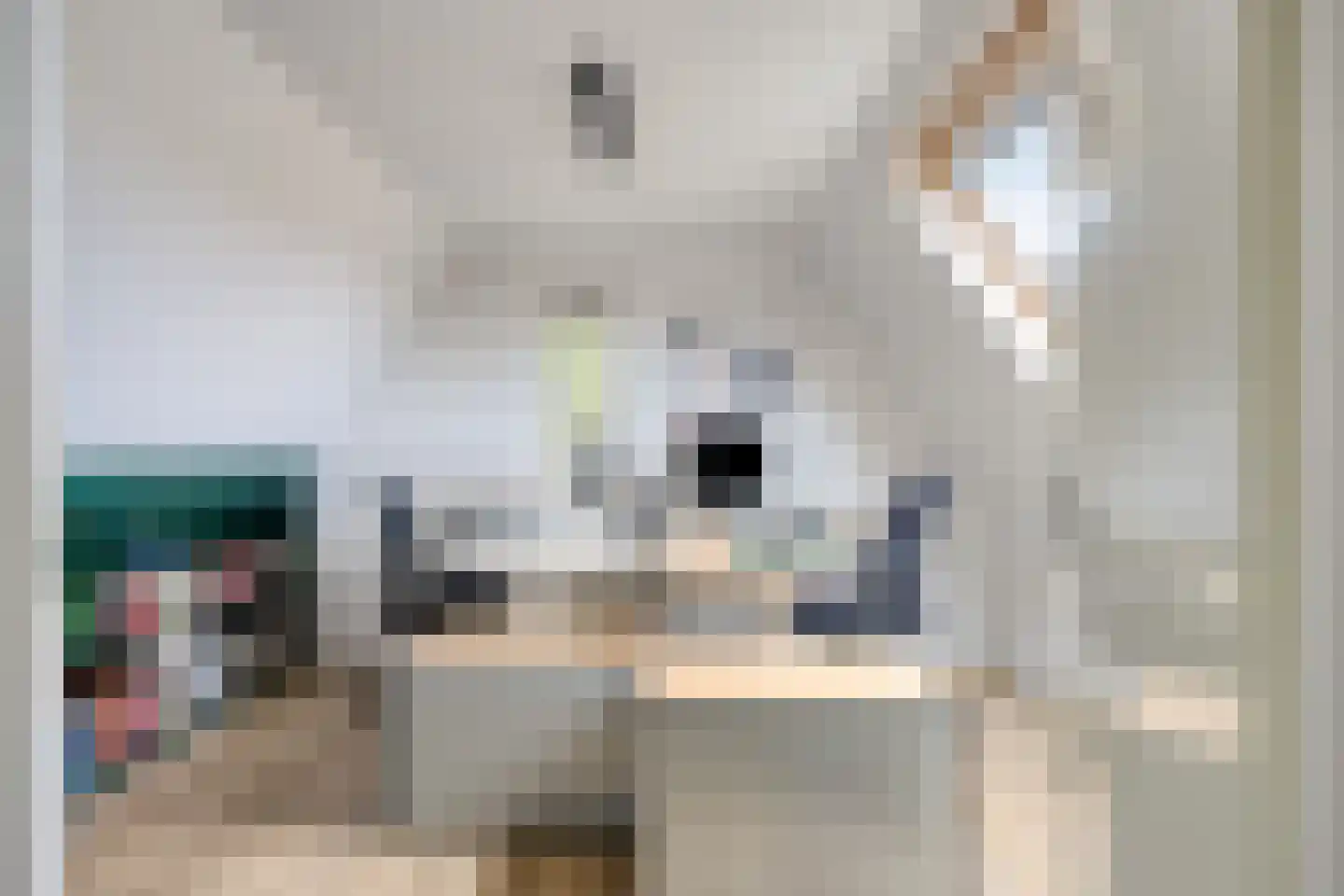 Korenbloemstraat 38 Maasbree thumbnail 27