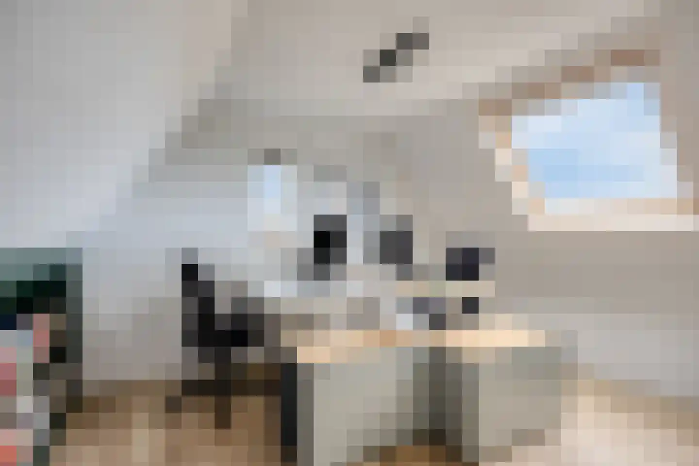 Korenbloemstraat 38 Maasbree thumbnail 28