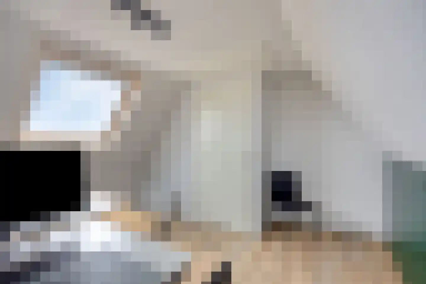 Korenbloemstraat 38 Maasbree thumbnail 29