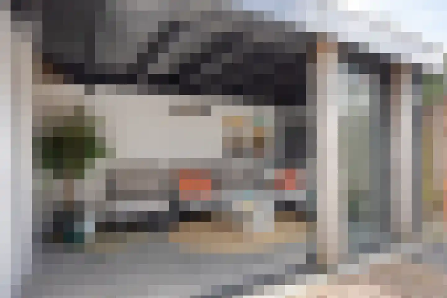Korenbloemstraat 38 Maasbree thumbnail 4