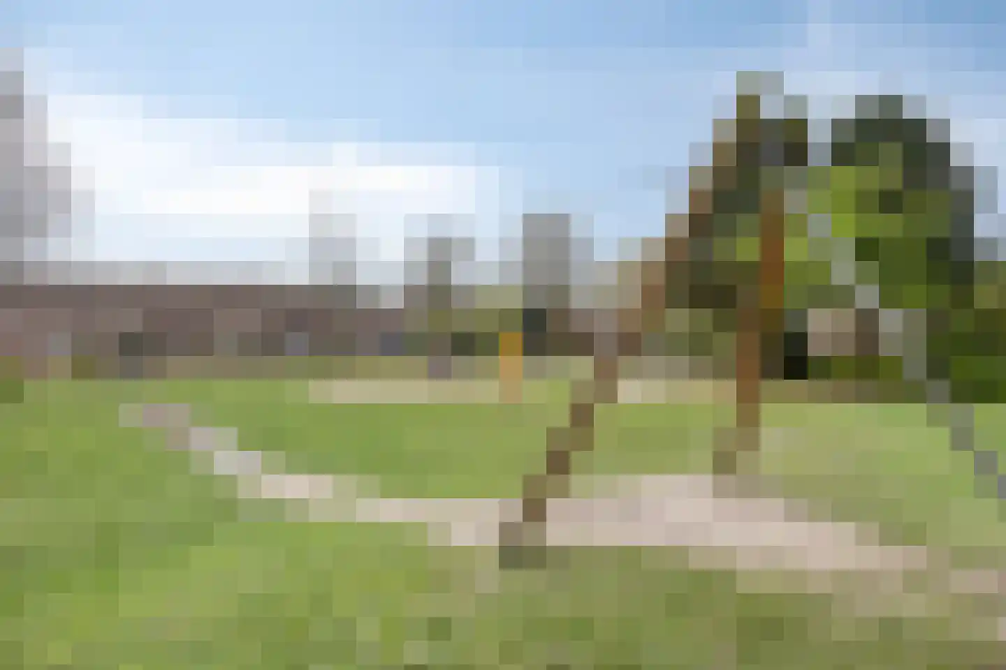 Korenbloemstraat 38 Maasbree thumbnail 45