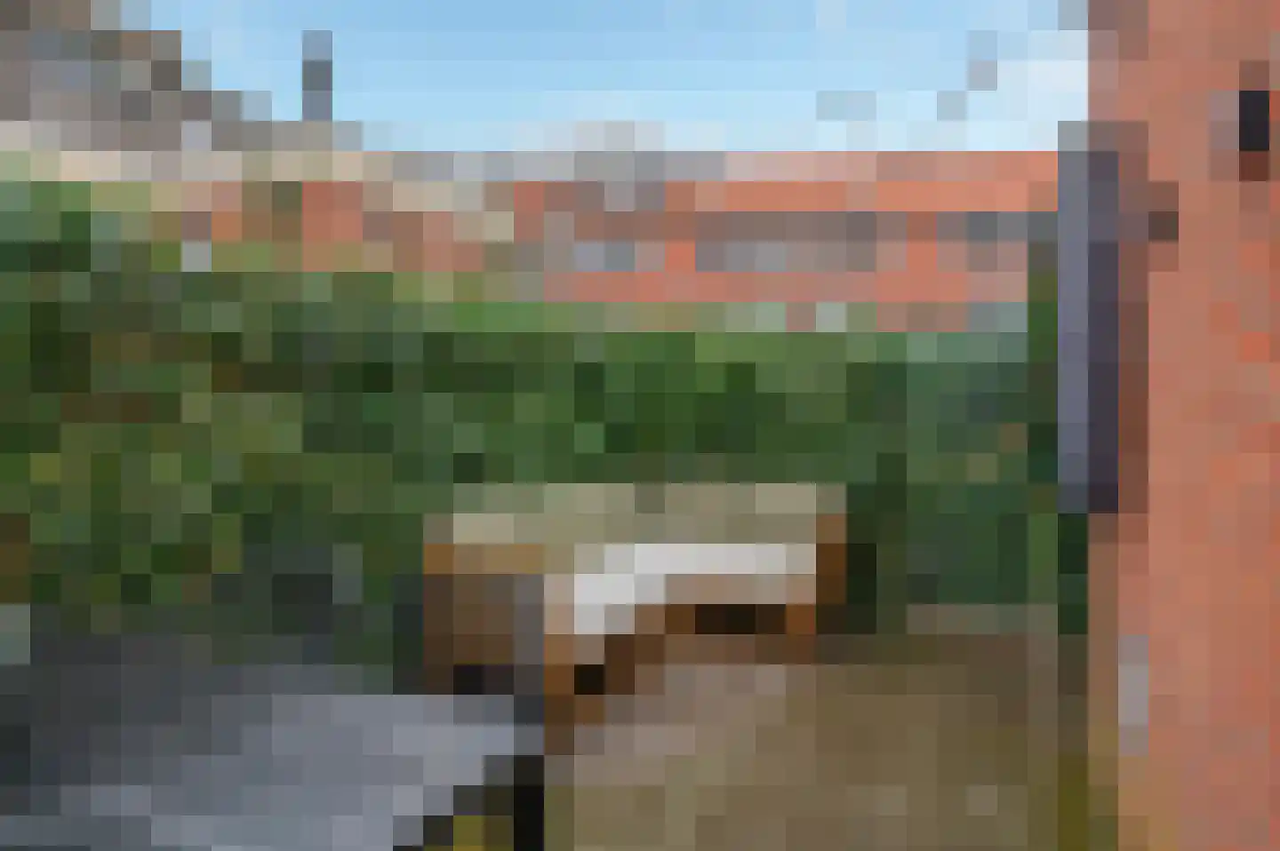 Korenbloemstraat 4 Groningen thumbnail 28