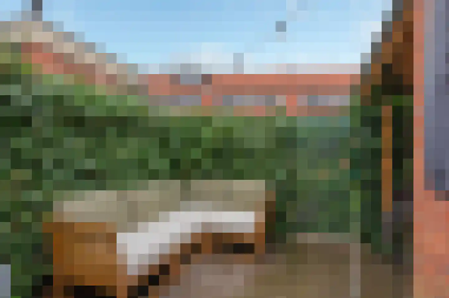 Korenbloemstraat 4 Groningen thumbnail 29
