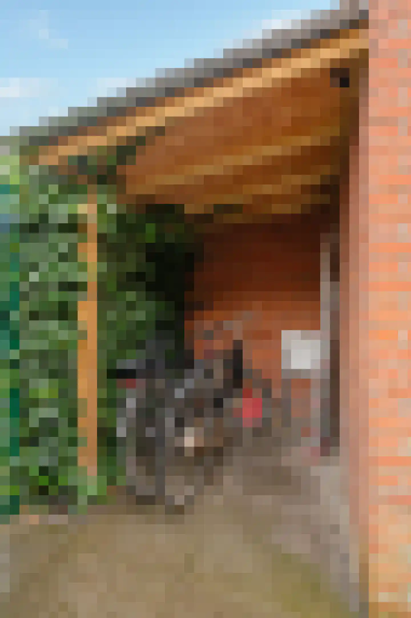 Korenbloemstraat 4 Groningen thumbnail 30
