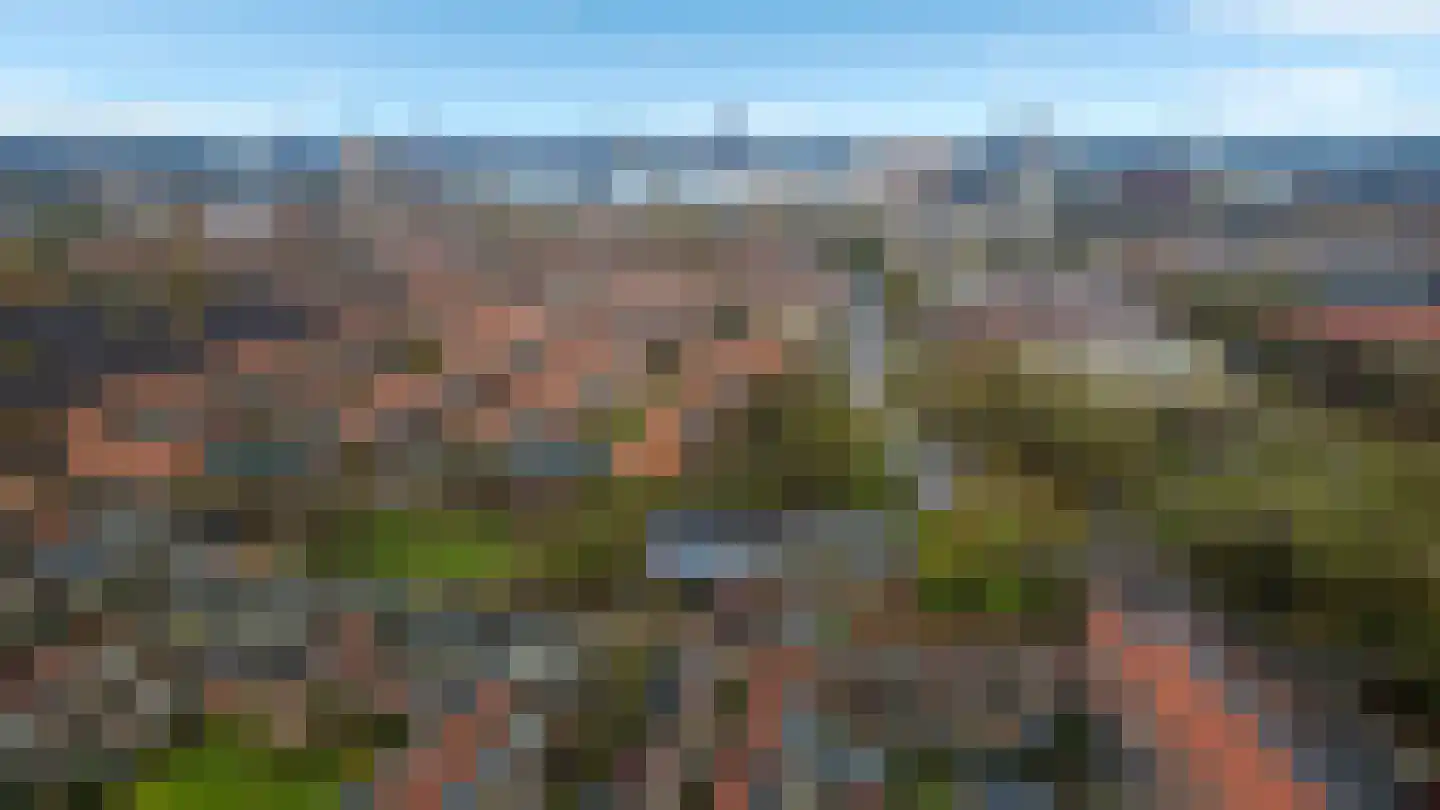 Korenbloemstraat 4 Groningen thumbnail 34