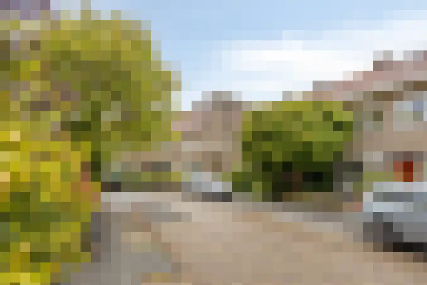 Korenbloemstraat 4 Zwolle thumbnail 11