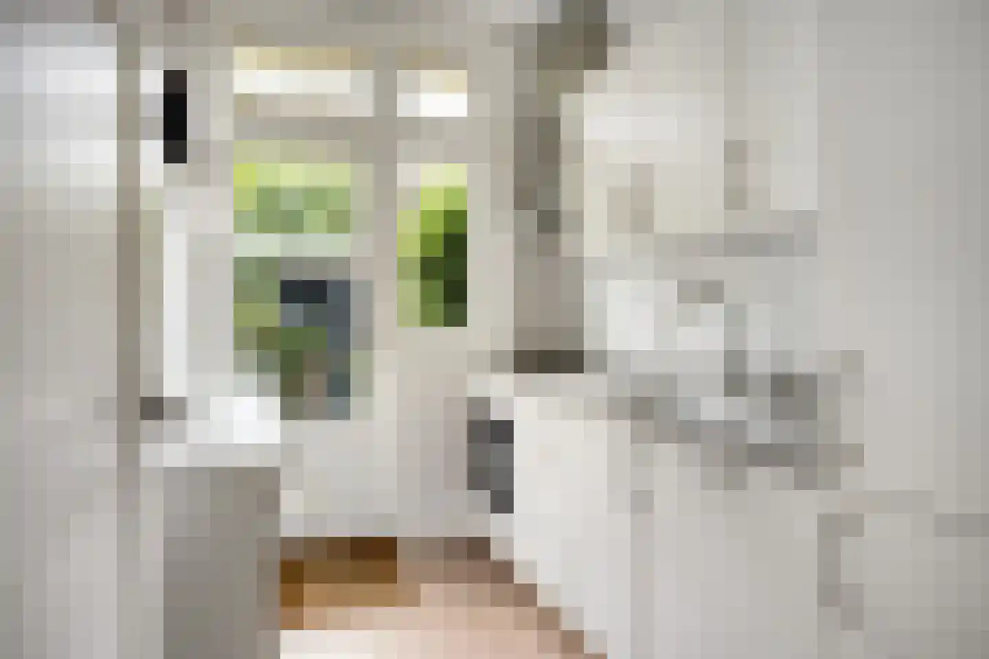 Korenbloemstraat 4 Zwolle thumbnail 27