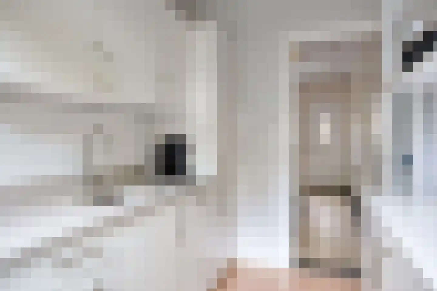 Korenbloemstraat 4 Zwolle thumbnail 28