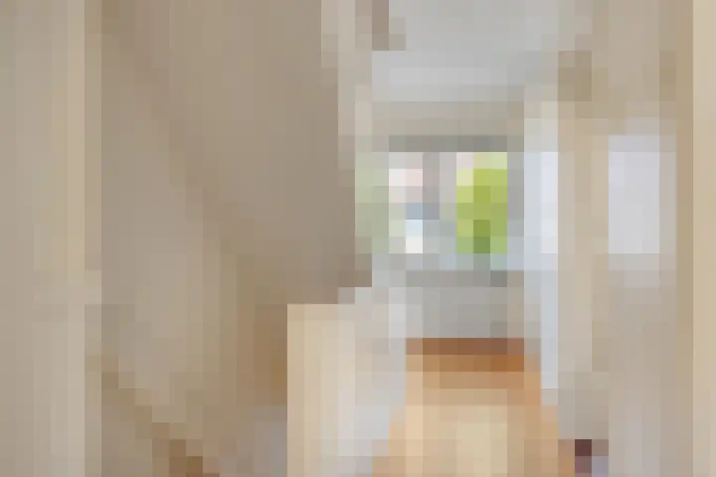 Korenbloemstraat 4 Zwolle thumbnail 32