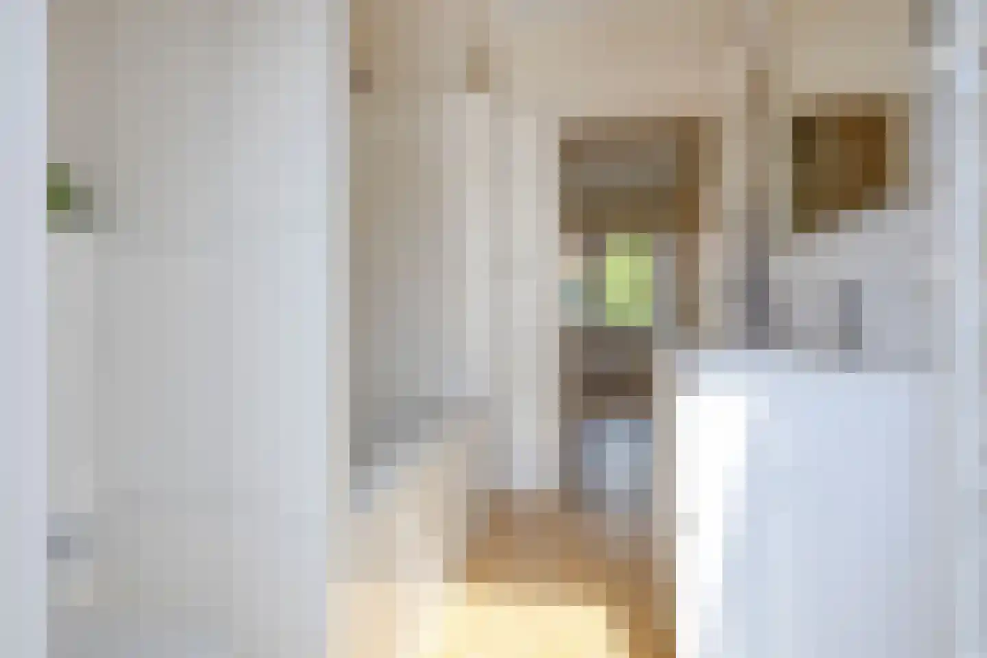 Korenbloemstraat 4 Zwolle thumbnail 37