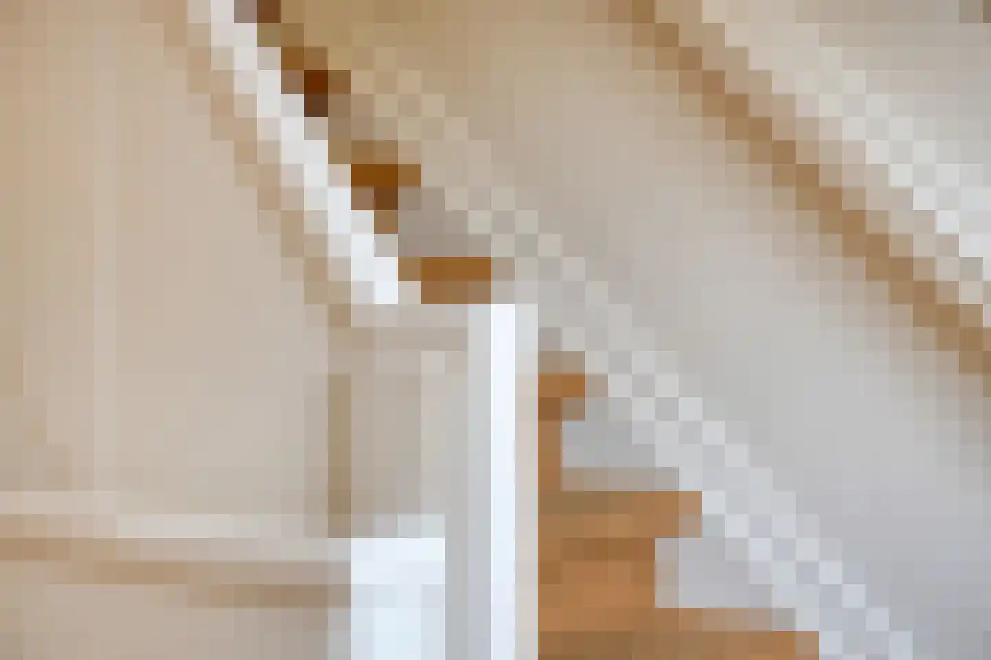 Korenbloemstraat 4 Zwolle thumbnail 41