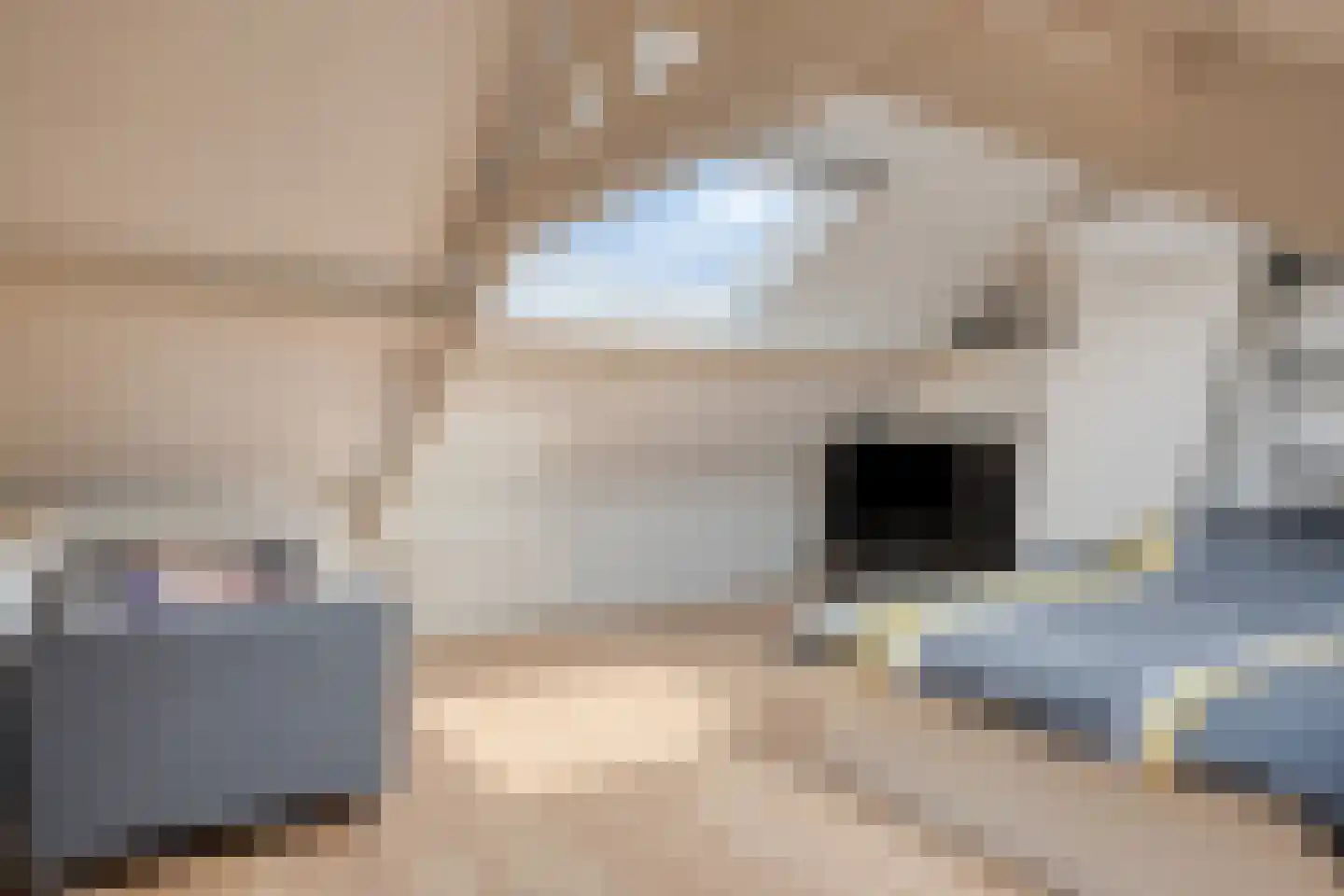 Korenbloemstraat 4 Zwolle thumbnail 43