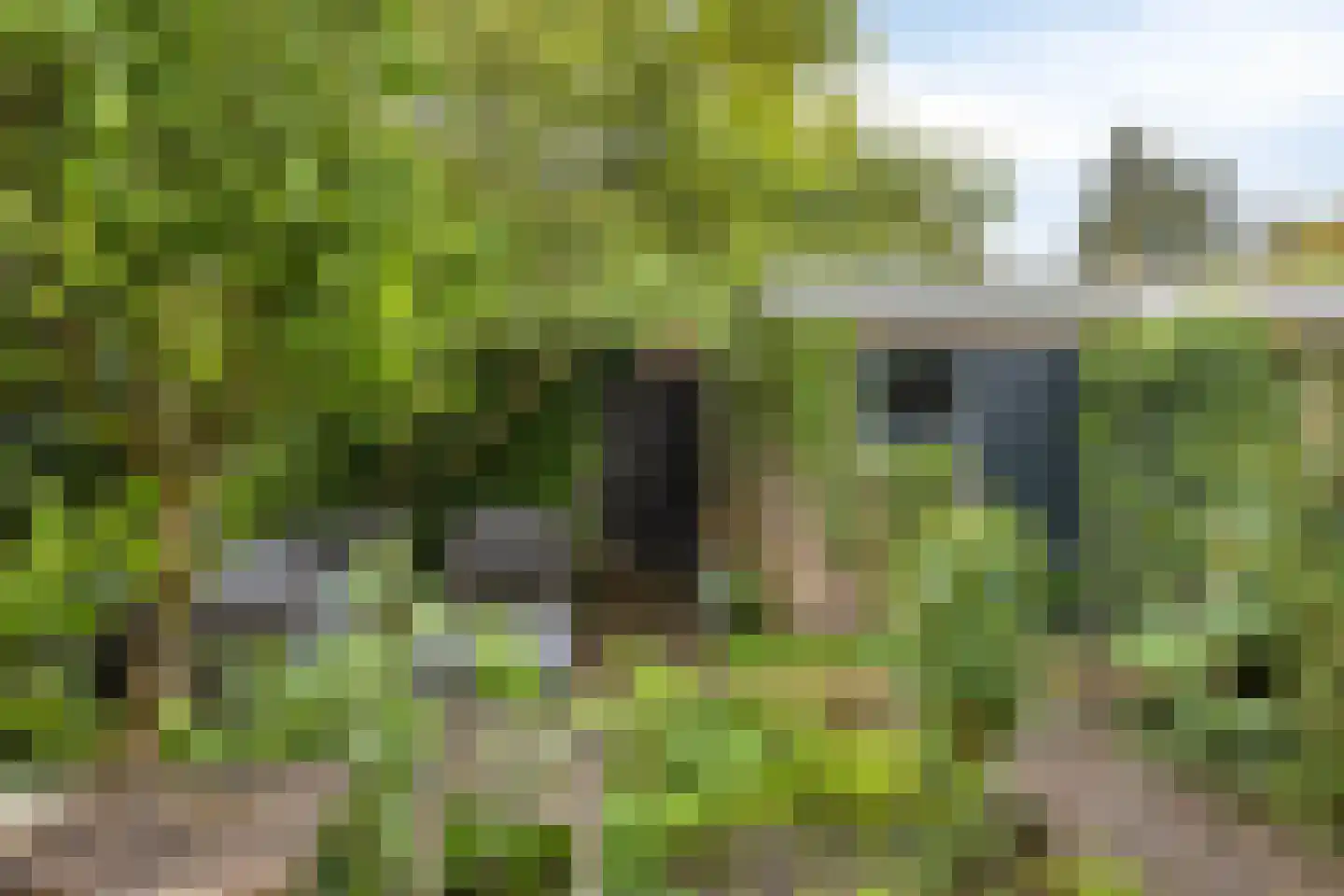 Korenbloemstraat 4 Zwolle thumbnail 46
