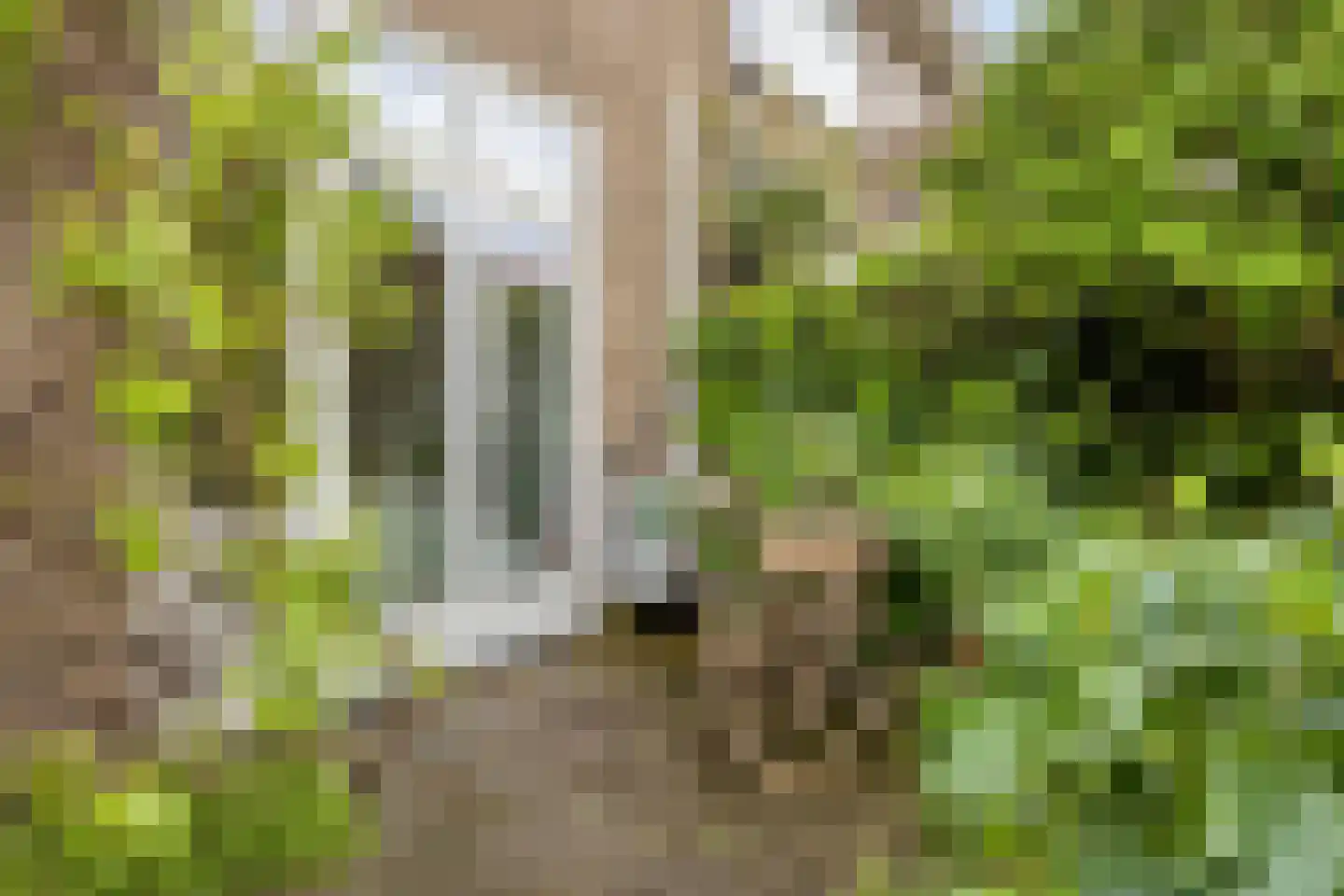 Korenbloemstraat 4 Zwolle thumbnail 49