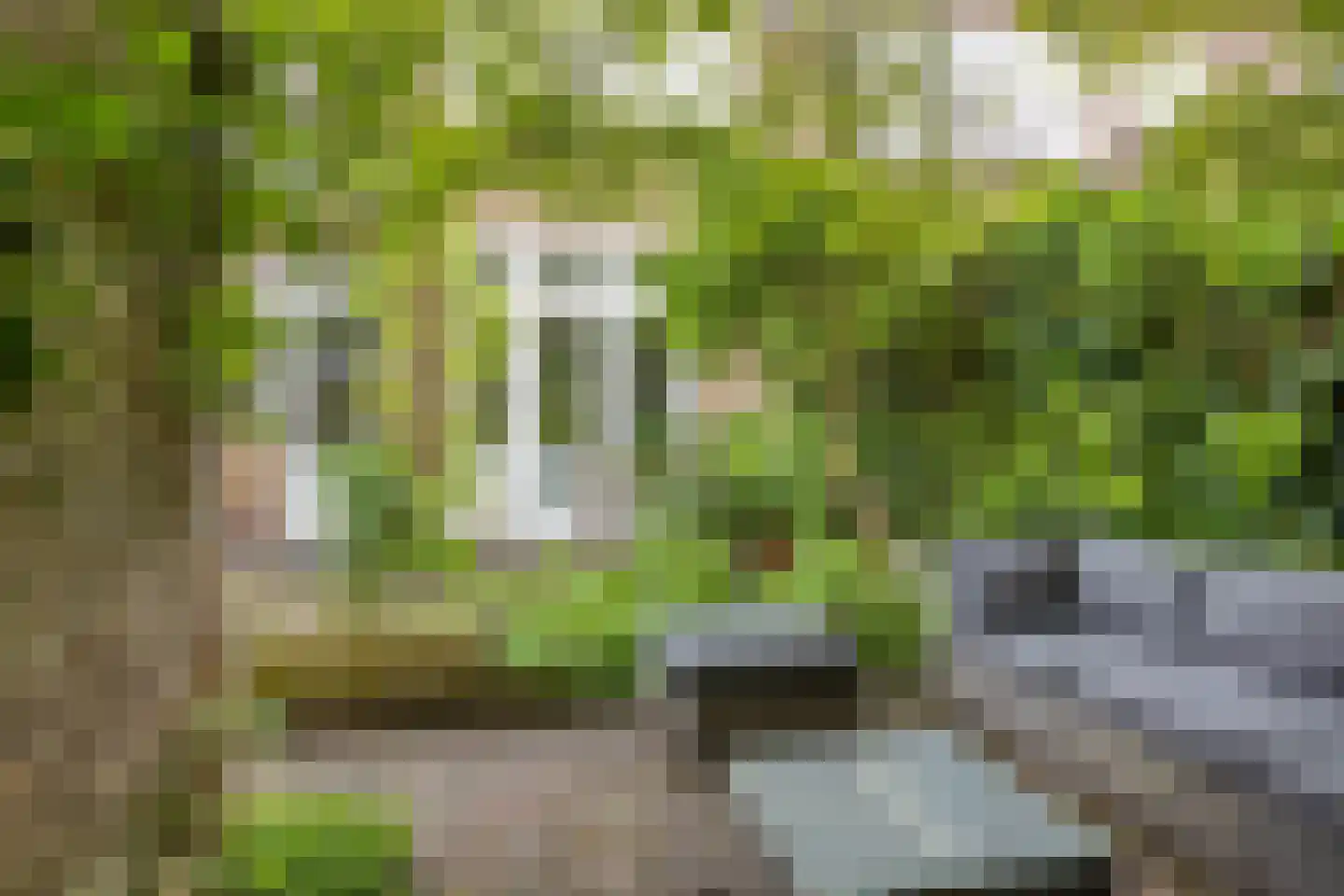 Korenbloemstraat 4 Zwolle thumbnail 50