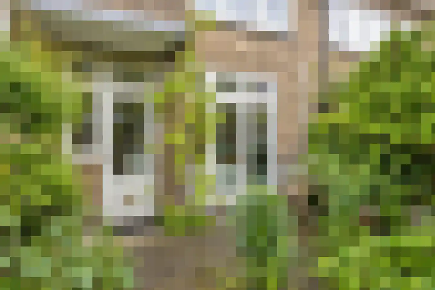 Korenbloemstraat 4 Zwolle thumbnail 52