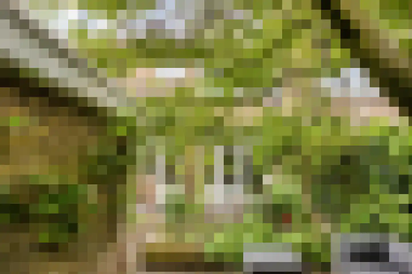 Korenbloemstraat 4 Zwolle thumbnail 53