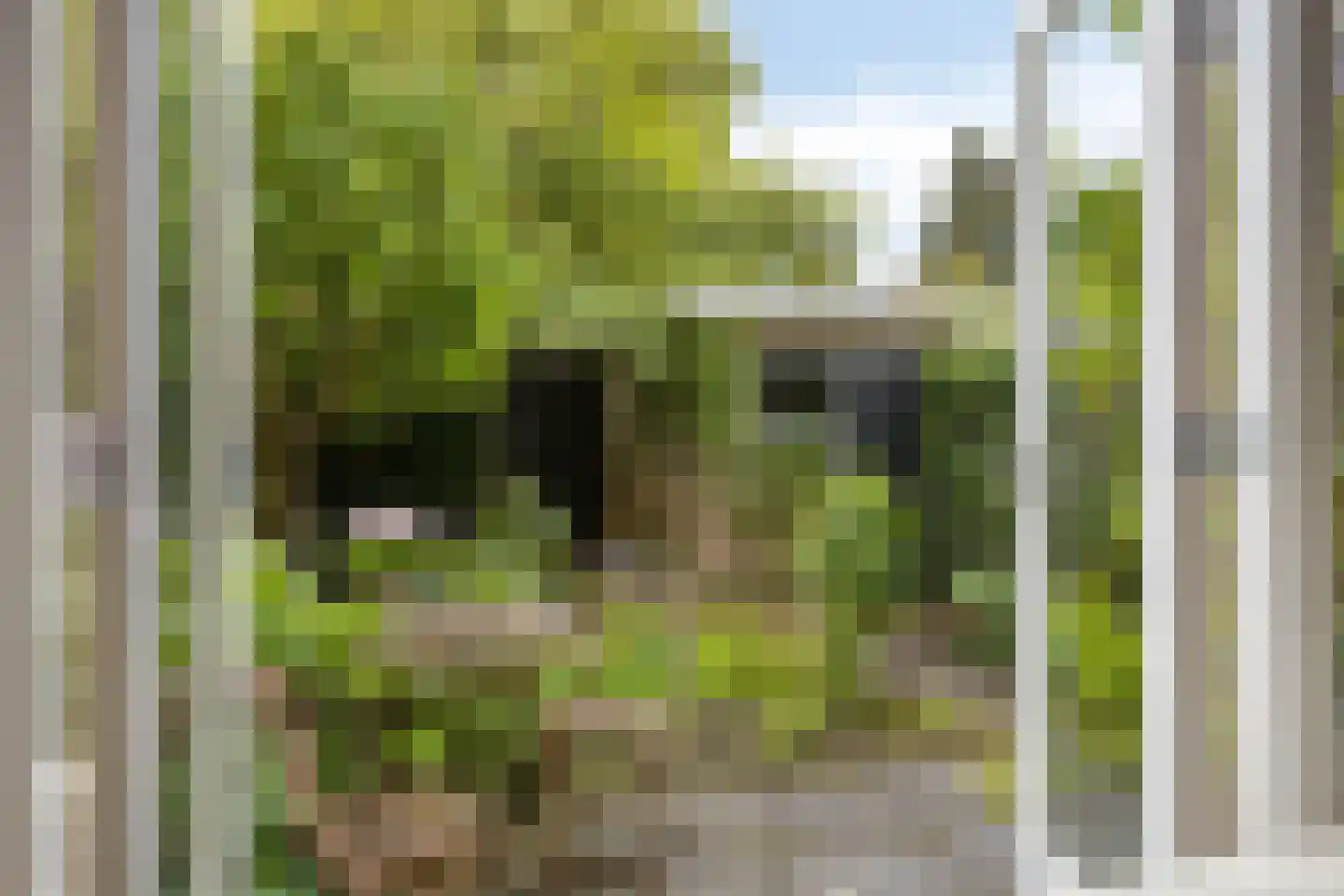 Korenbloemstraat 4 Zwolle thumbnail 7