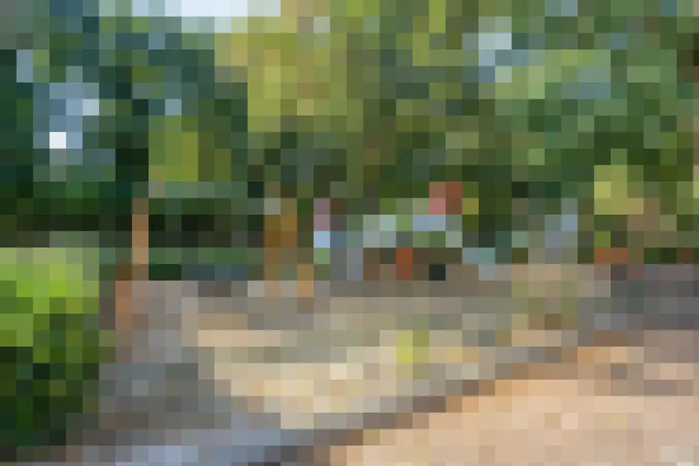 Korenbloemstraat 41 A Eindhoven thumbnail 21