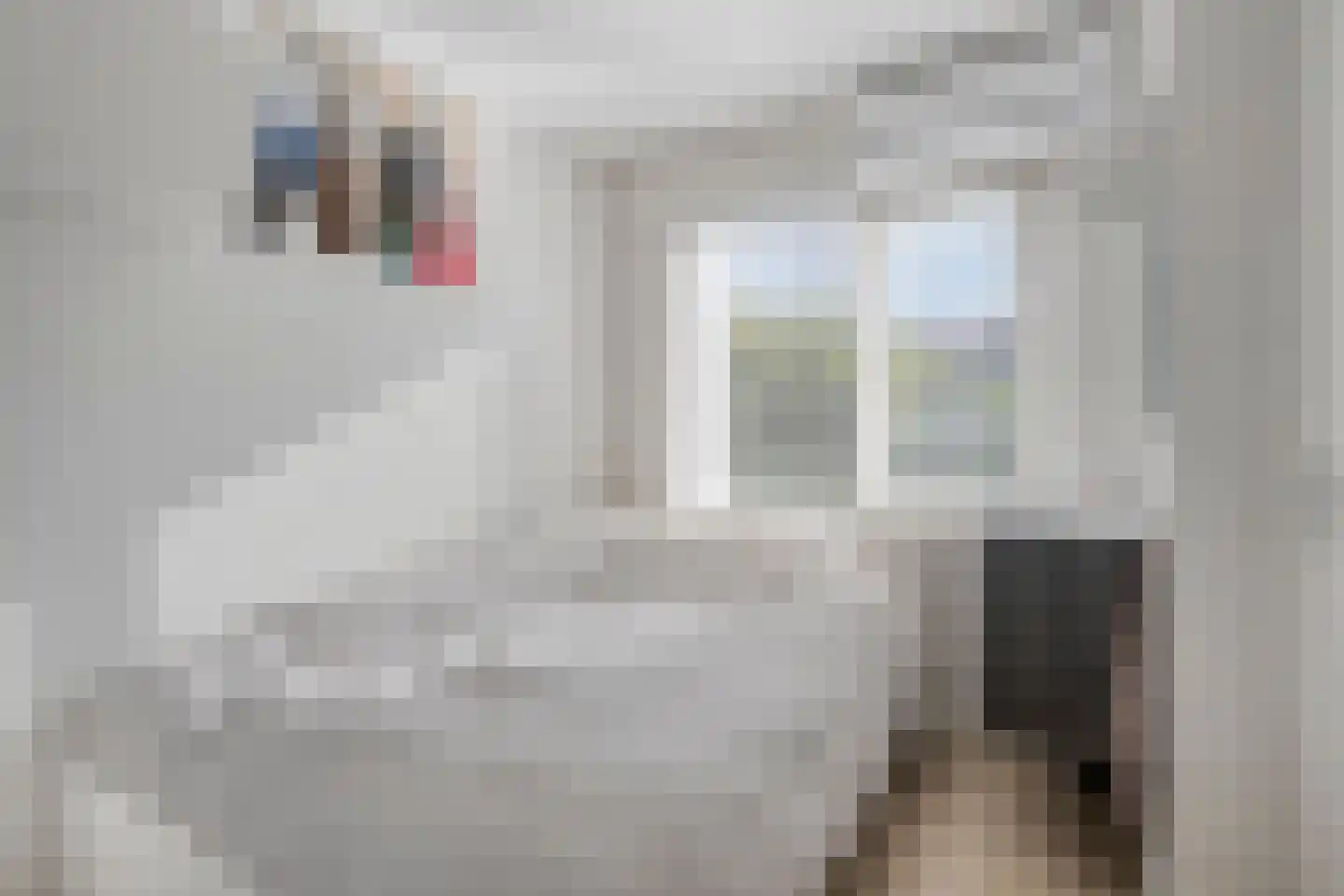 Korenbloemstraat 41 A Eindhoven thumbnail 4