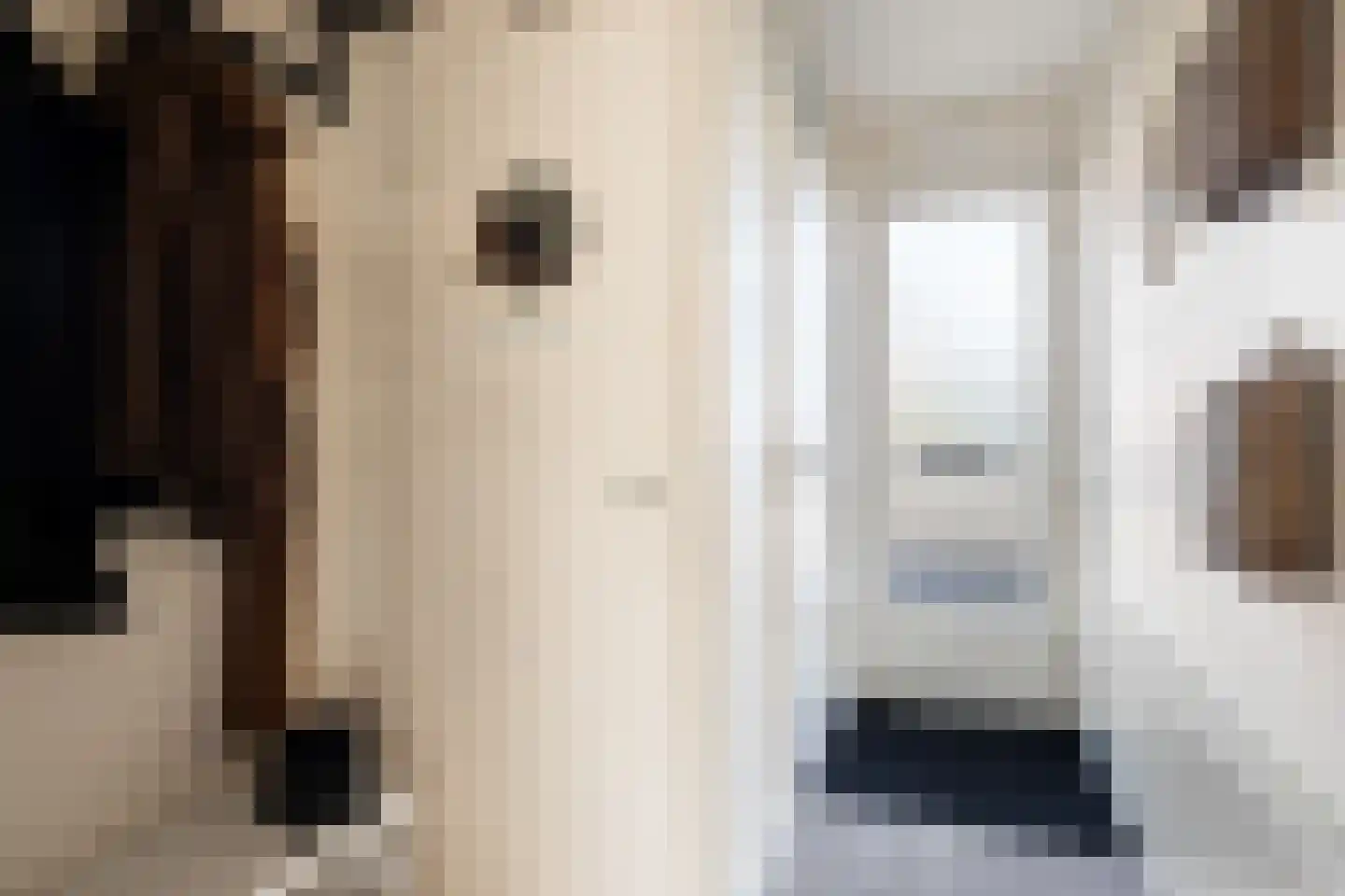 Korenbloemstraat 43 Putten thumbnail 4