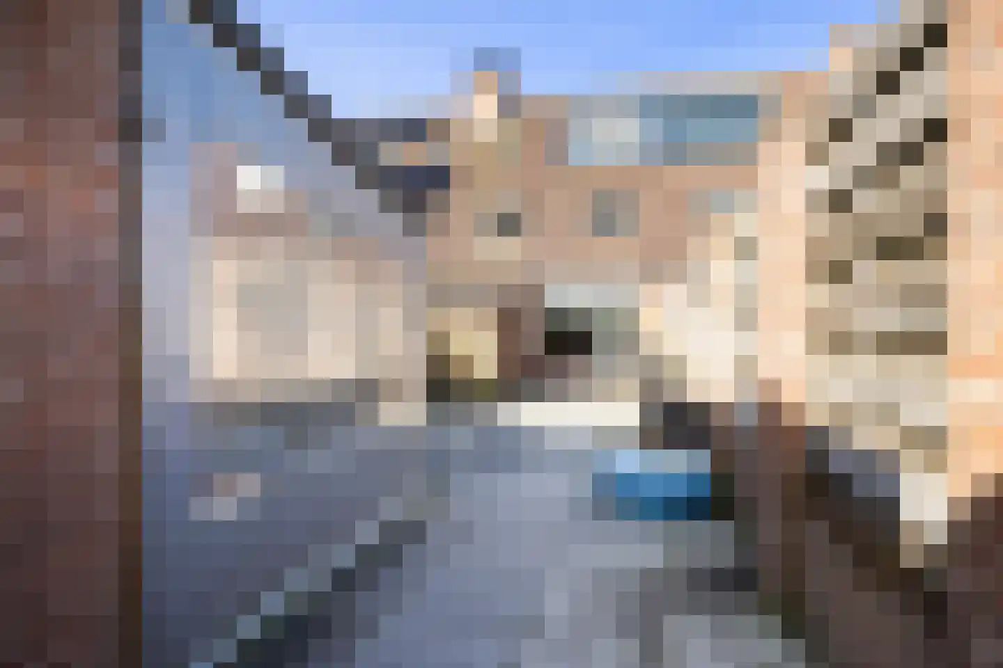 Korenbloemstraat 43 Putten thumbnail 47