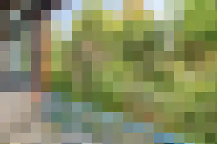 Korenbloemstraat 44 in Nijmegen