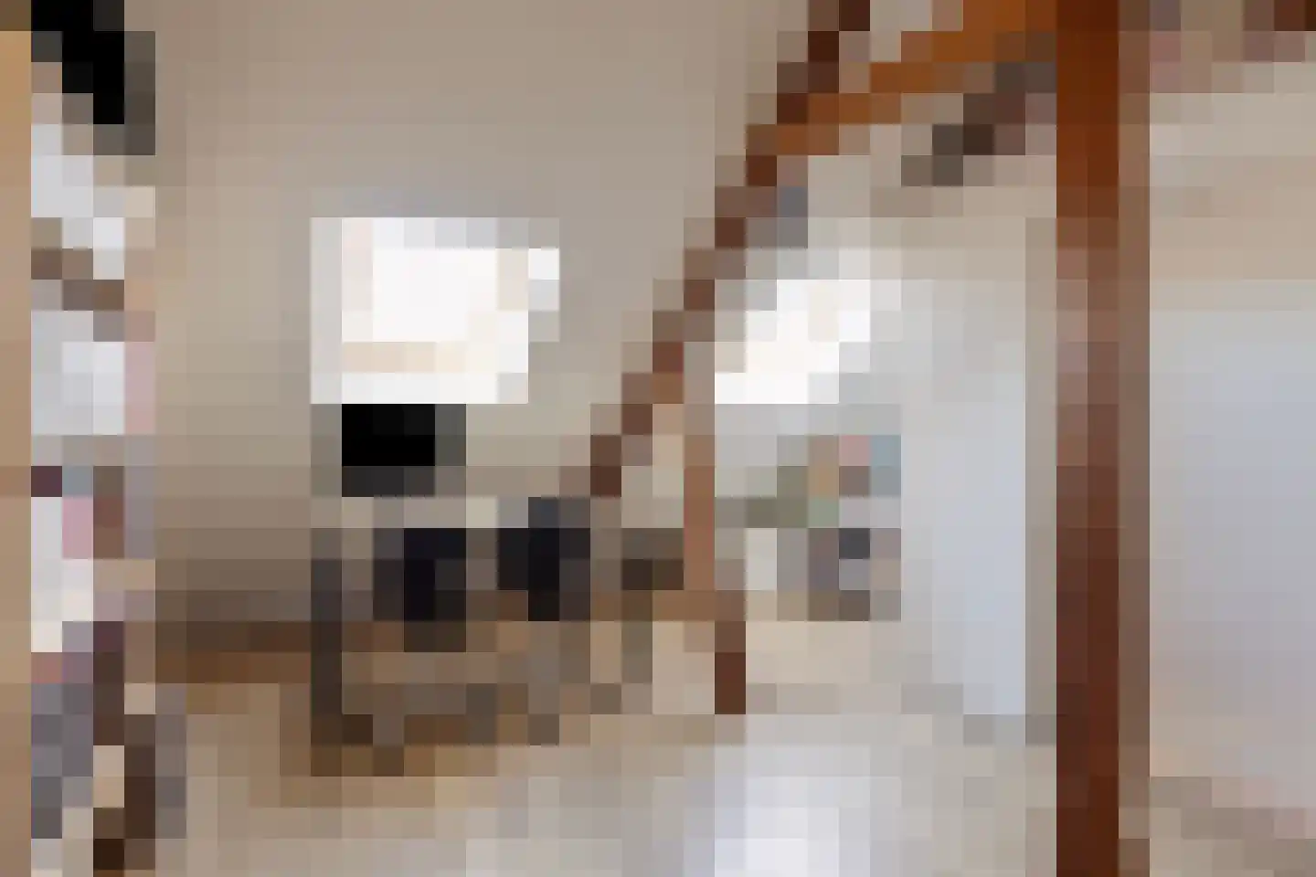 Korenbloemstraat 44 Eindhoven thumbnail 26