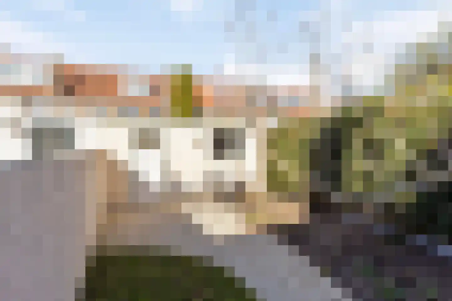Korenbloemstraat 44 Eindhoven thumbnail 29