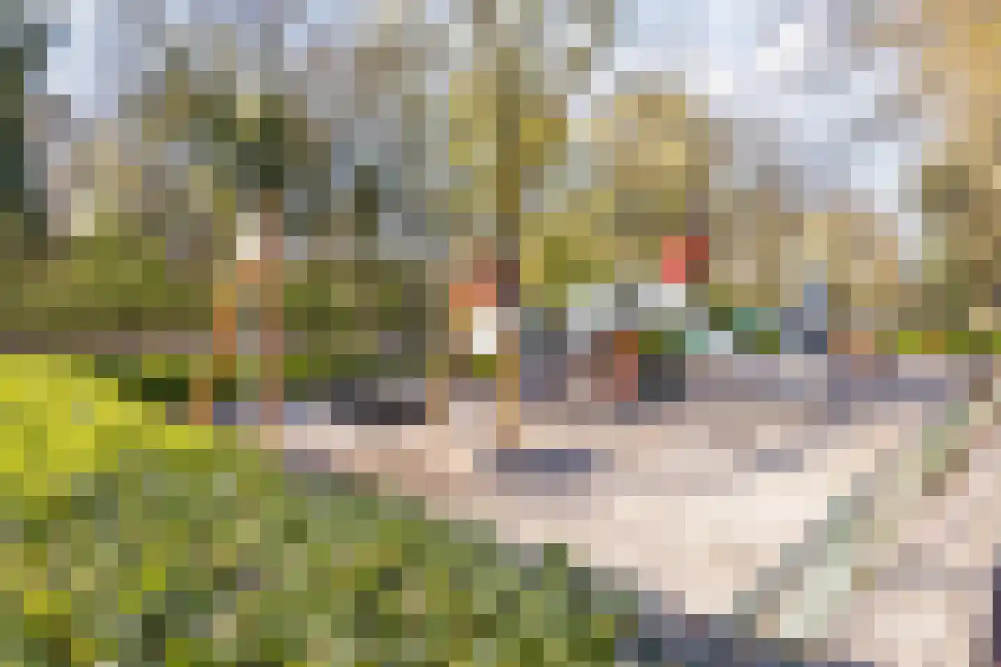 Korenbloemstraat 44 Eindhoven thumbnail 32