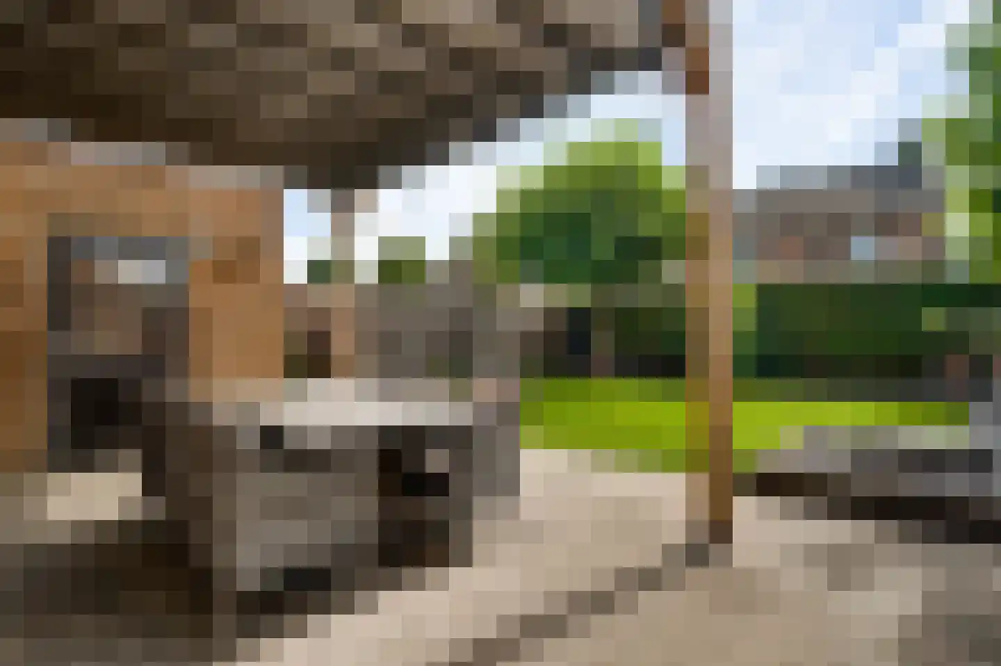 Korenbloemstraat 46 Ospel thumbnail 19