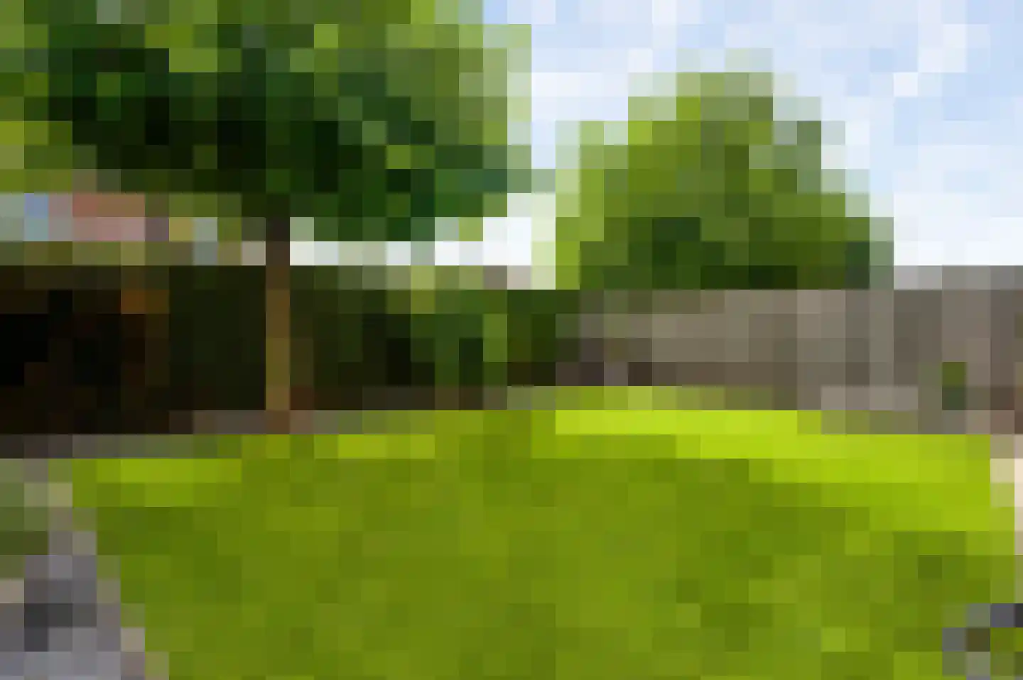 Korenbloemstraat 46 Ospel thumbnail 4