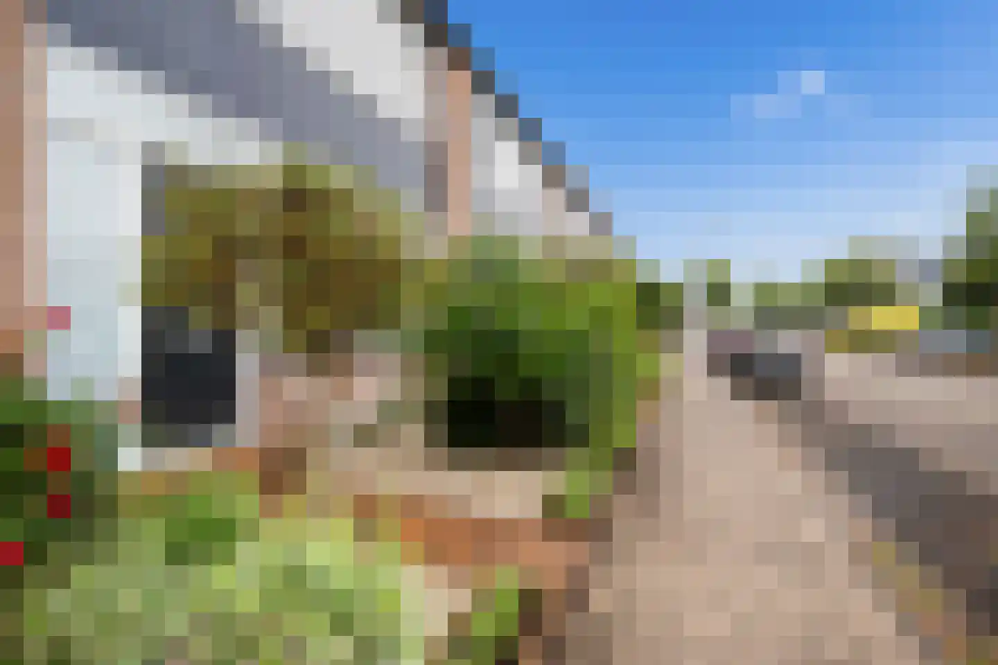 Korenbloemstraat 49 Stolwijk thumbnail 33