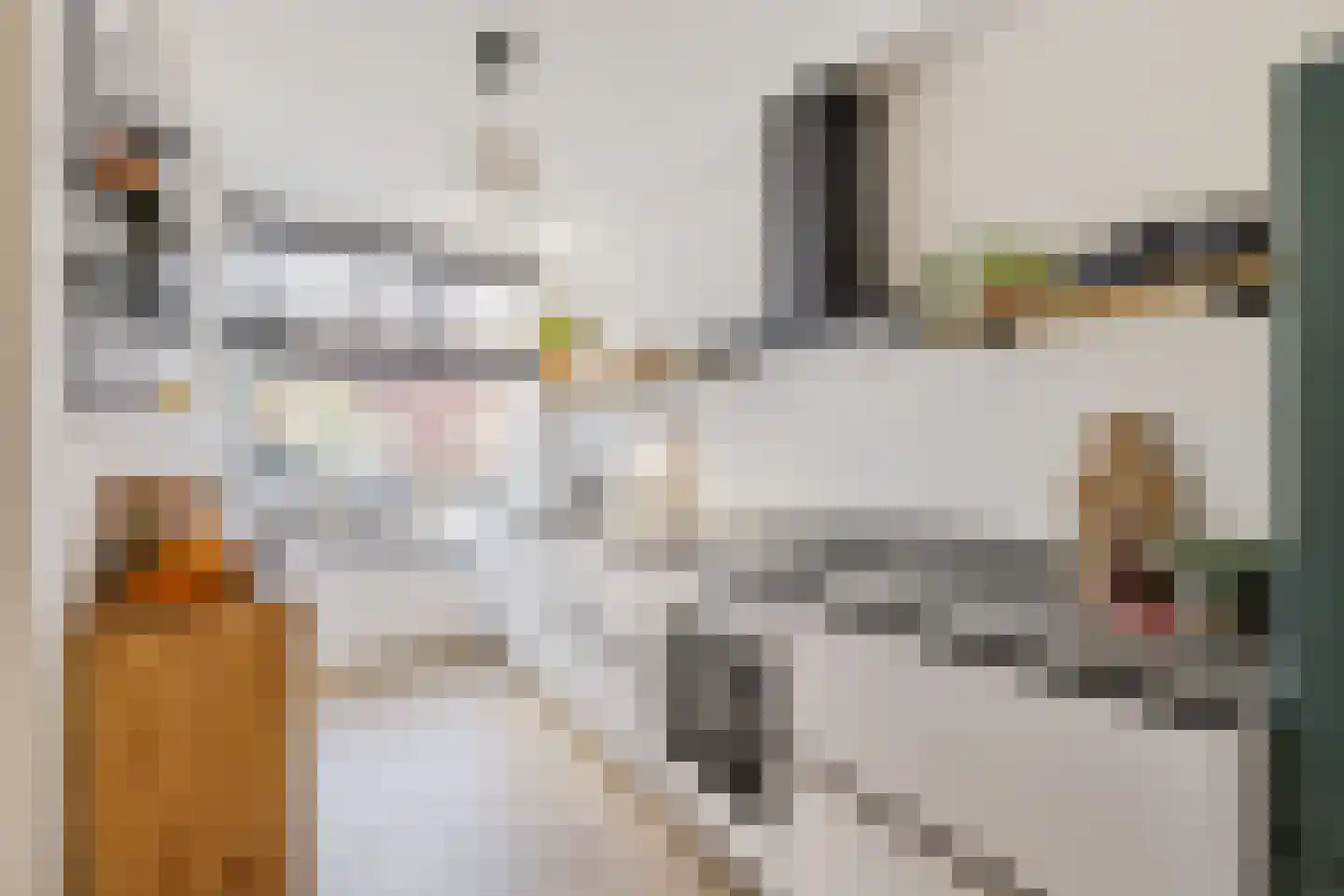 Korenbloemstraat 49 Utrecht thumbnail 10